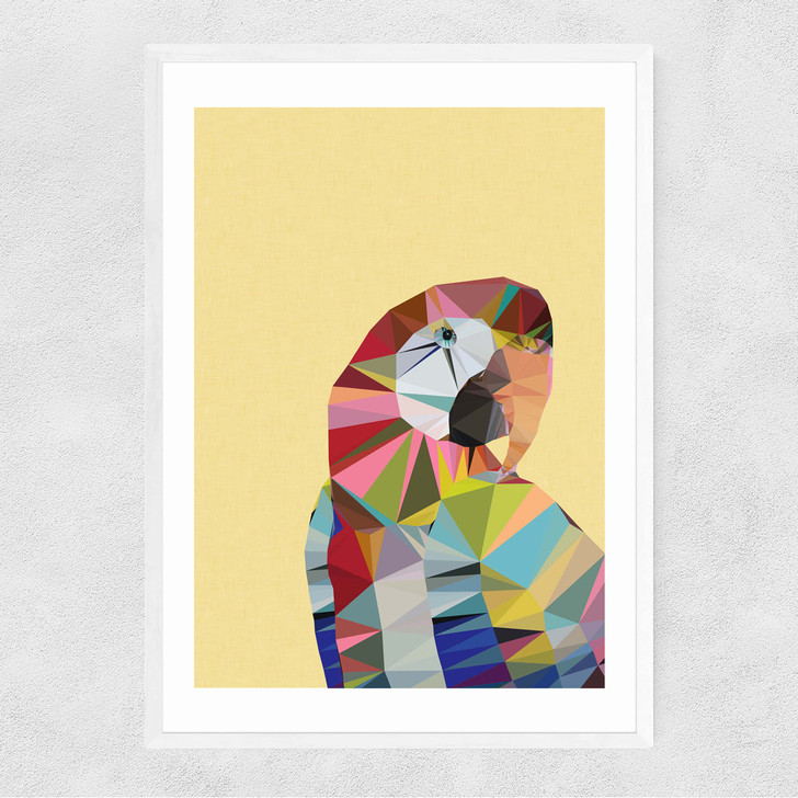 Macaw Narrow White Frame Macaw Narrow White Frame