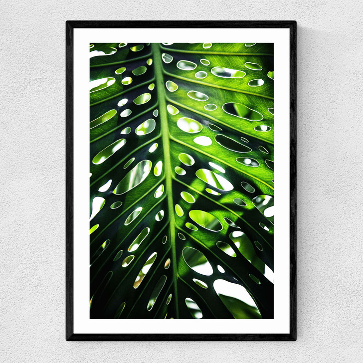 Green Leaf 2 Narrow Black Frame Green Leaf 2 Narrow Black Frame