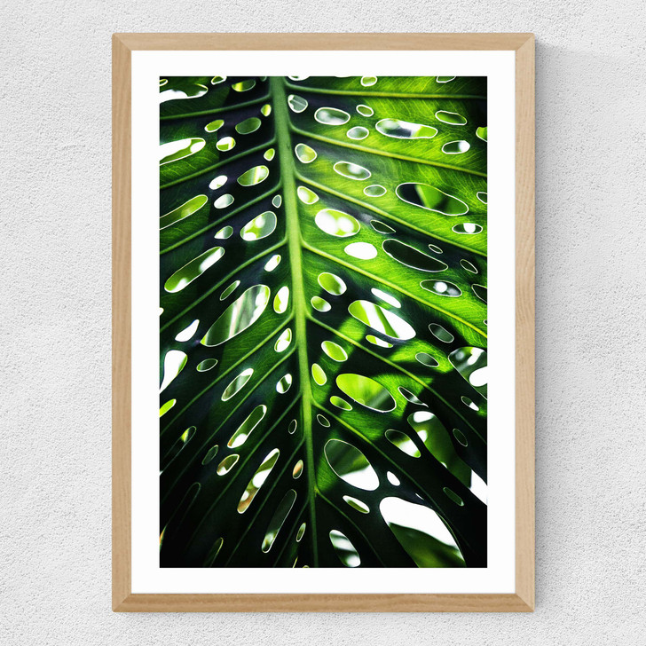 Green Leaf 2 Medium Oak Frame Green Leaf 2 Medium Oak Frame