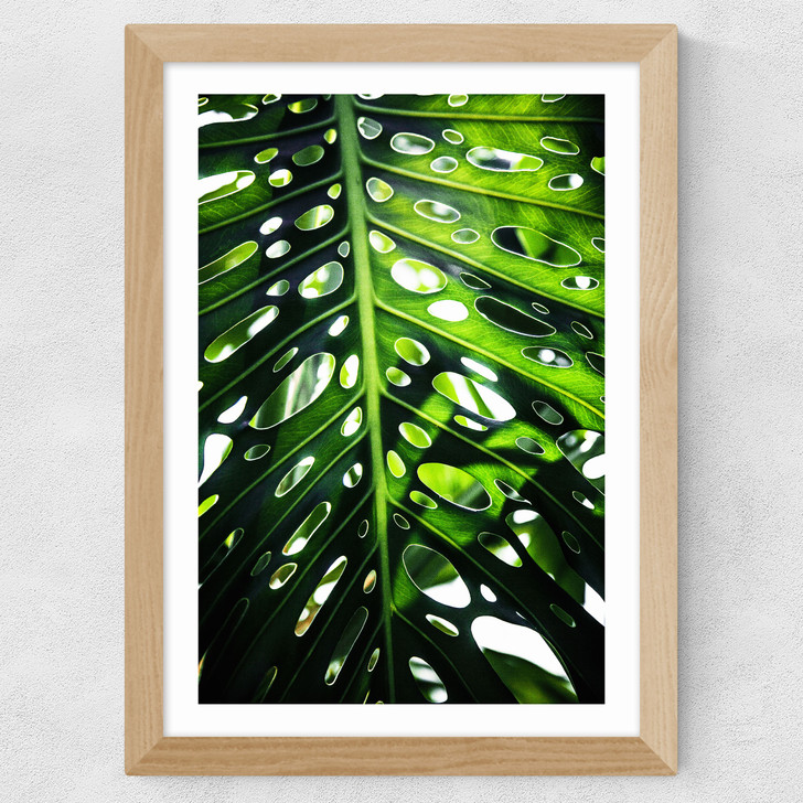 Green Leaf 2 Wide Oak Frame Green Leaf 2 Wide Oak Frame