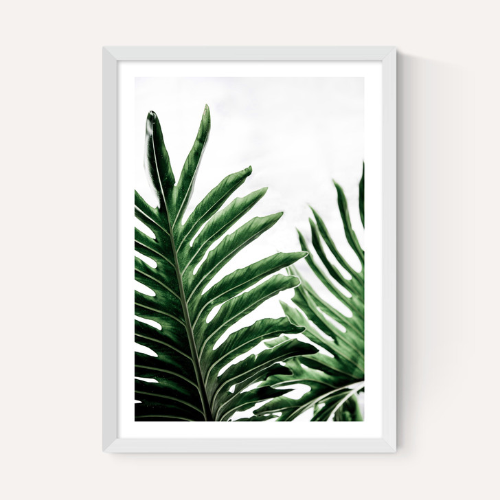 Leaves 1