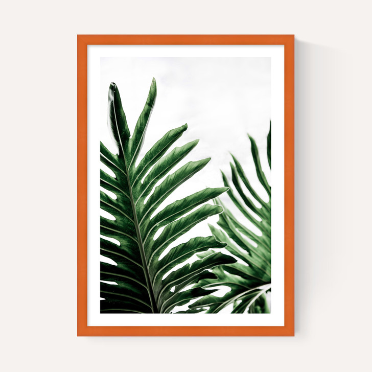 Leaves 1