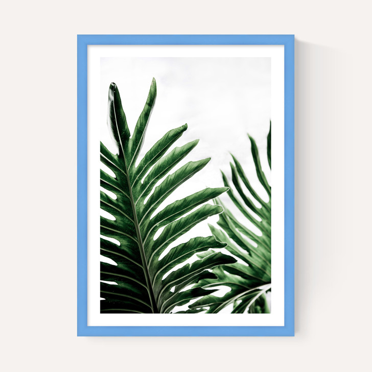 Leaves 1