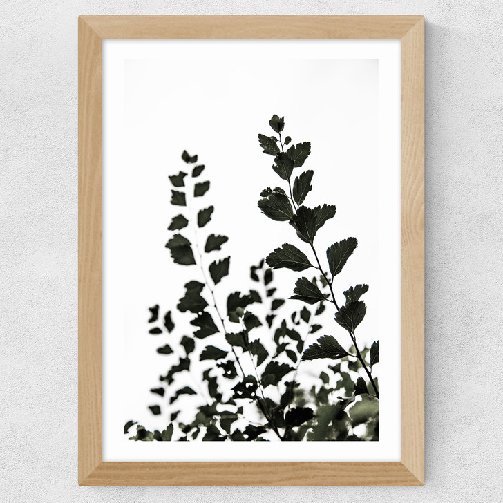 Leaves 4 Wide Oak Frame Leaves 4 Wide Oak Frame