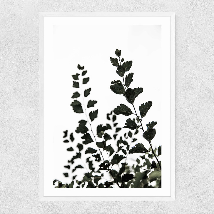 Leaves 4 Narrow White Frame Leaves 4 Narrow White Frame