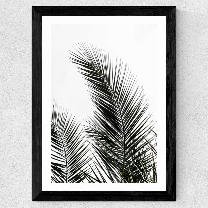 Palm Leaves 1 Wide Black Frame