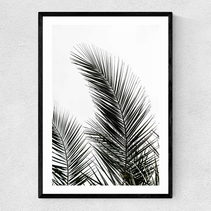 Palm Leaves 1 Narrow Black Frame