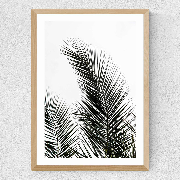 Palm Leaves 1 Medium Oak Frame