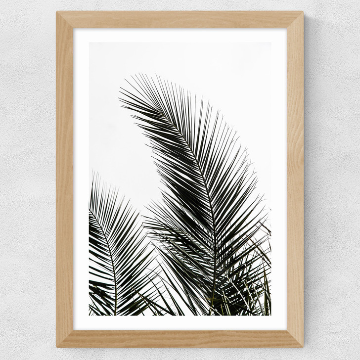 Palm Leaves 1 Wide Oak Frame