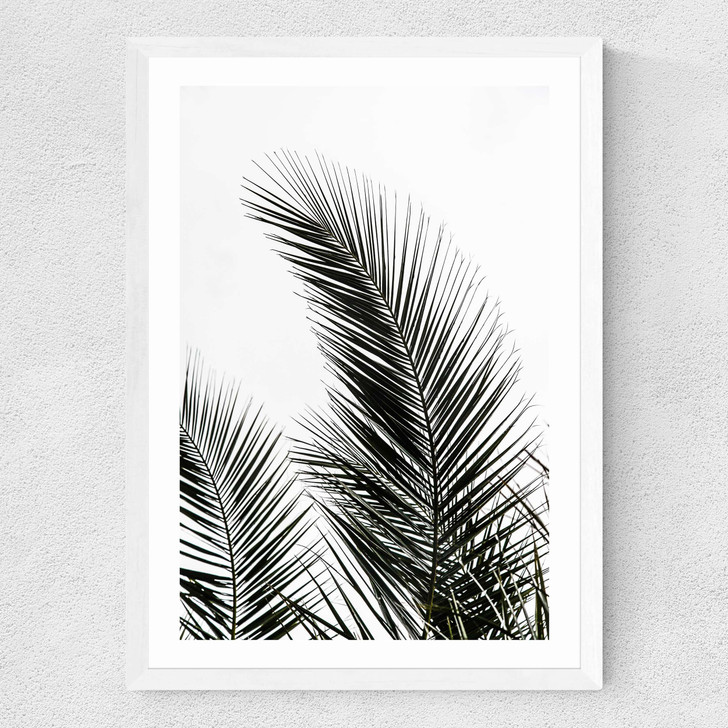 Palm Leaves 1 Medium White Frame
