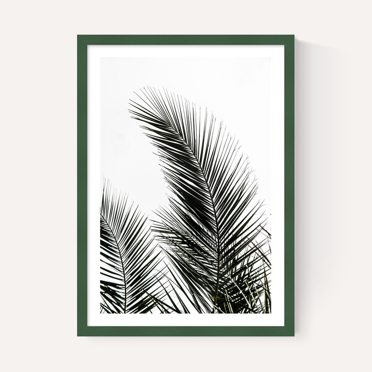 Palm Leaves 1