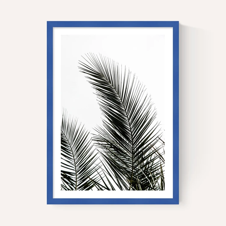 Palm Leaves 1