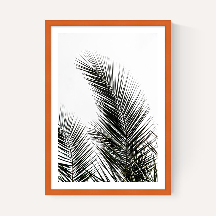 Palm Leaves 1