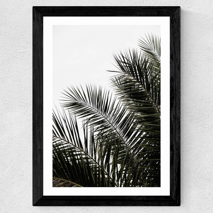Palm Leaves 3 Wide Black Frame Palm Leaves 3 Wide Black Frame