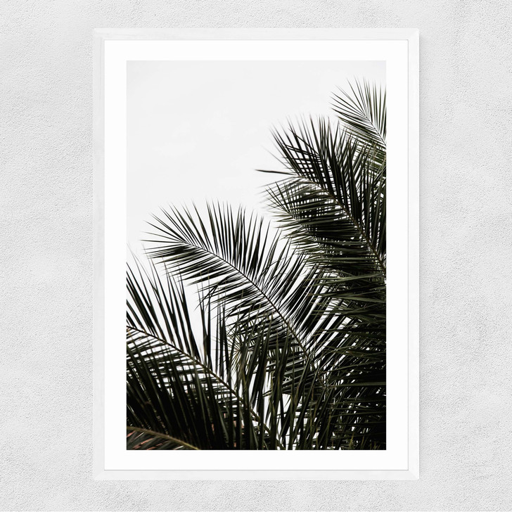 Palm Leaves 3 Narrow White Frame Palm Leaves 3 Narrow White Frame