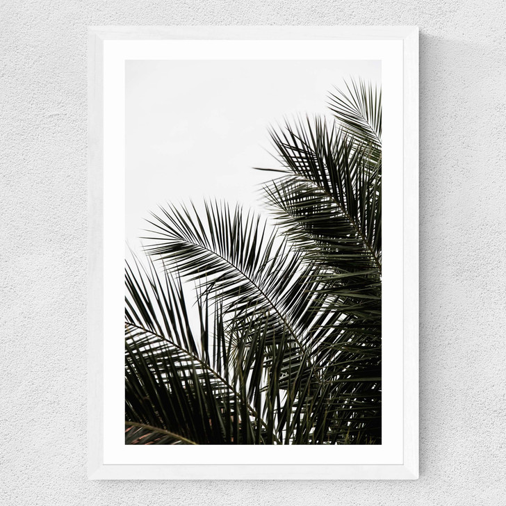 Palm Leaves 3 Medium White Frame Palm Leaves 3 Medium White Frame