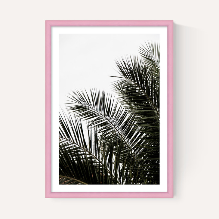 Palm Leaves 3