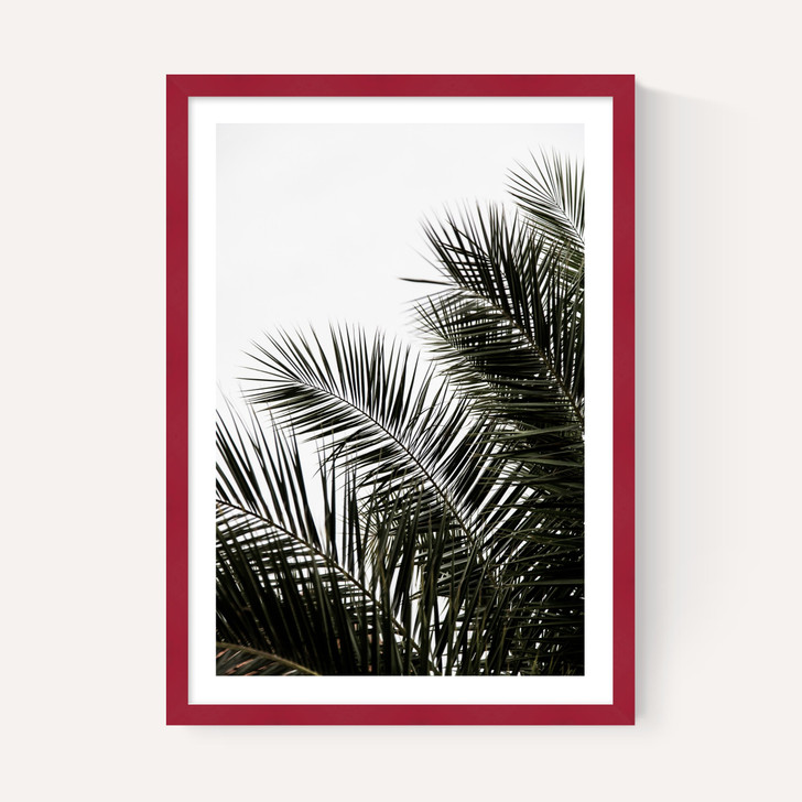 Palm Leaves 3