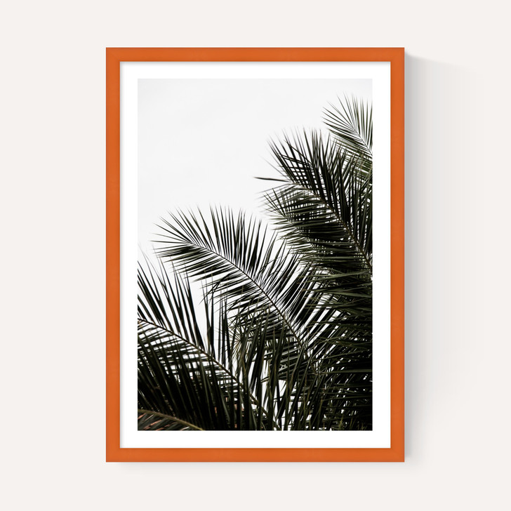 Palm Leaves 3