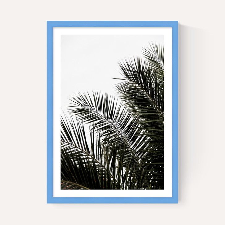 Palm Leaves 3