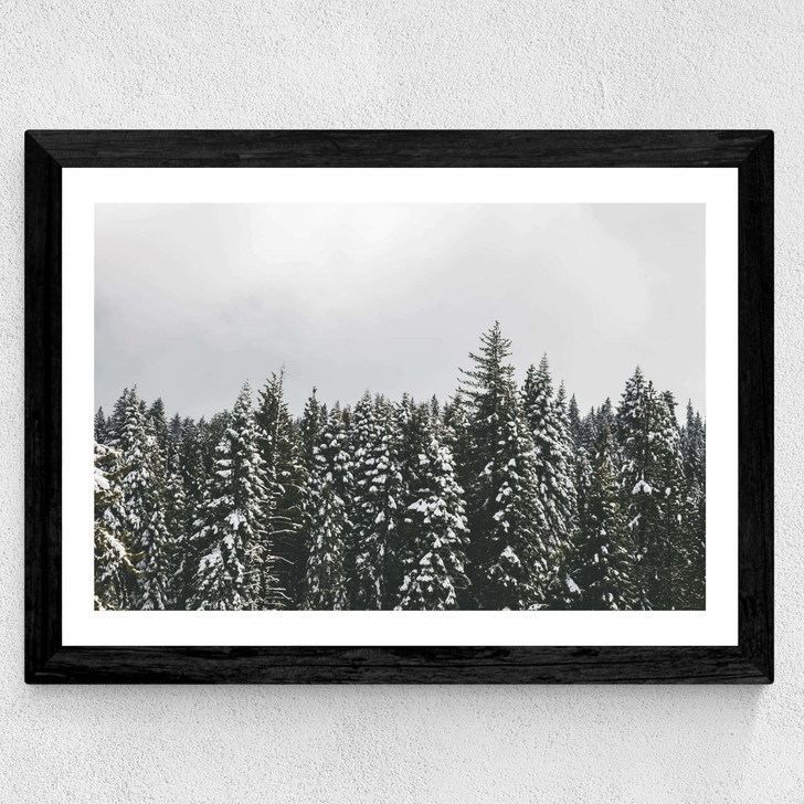 Snow Trees Wide Black Frame