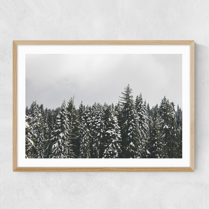 Snow Trees Narrow Oak Frame