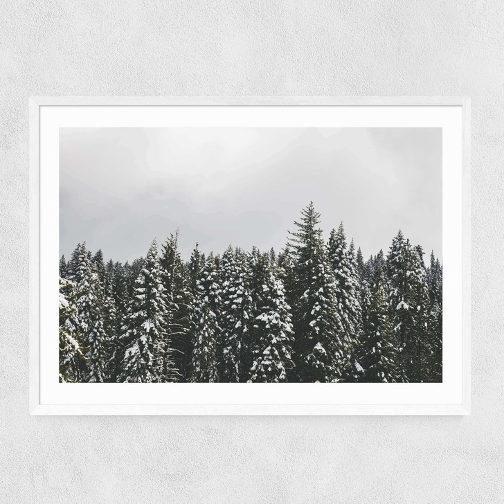 Snow Trees Narrow White Frame