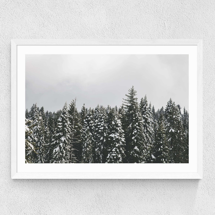 Snow Trees Medium White Frame