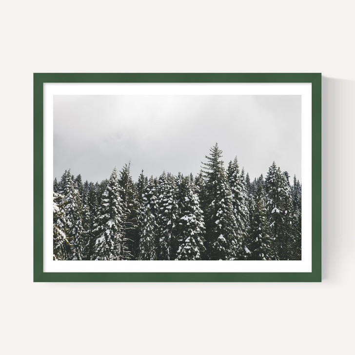 Snow Trees