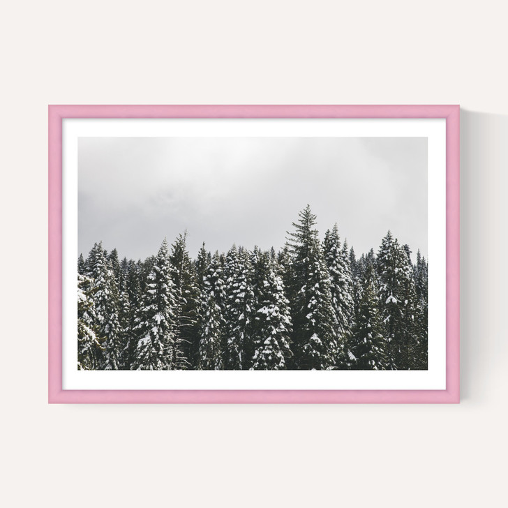 Snow Trees