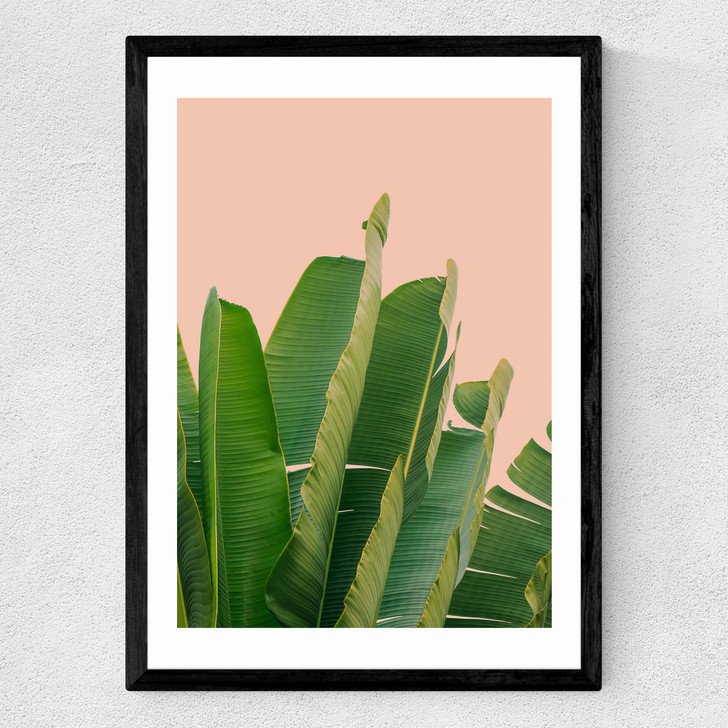 Banana Leaves Medium Black Frame Banana Leaves Medium Black Frame