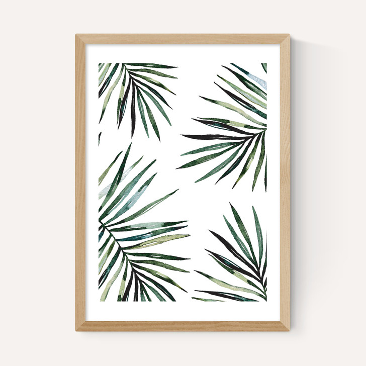 Ferns