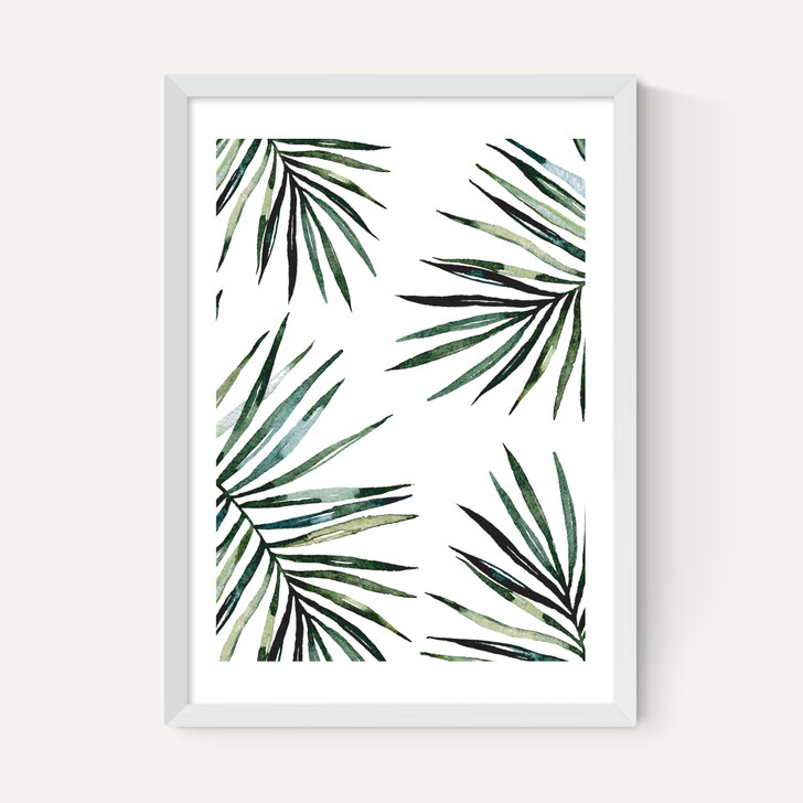 Ferns