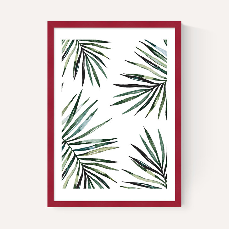 Ferns