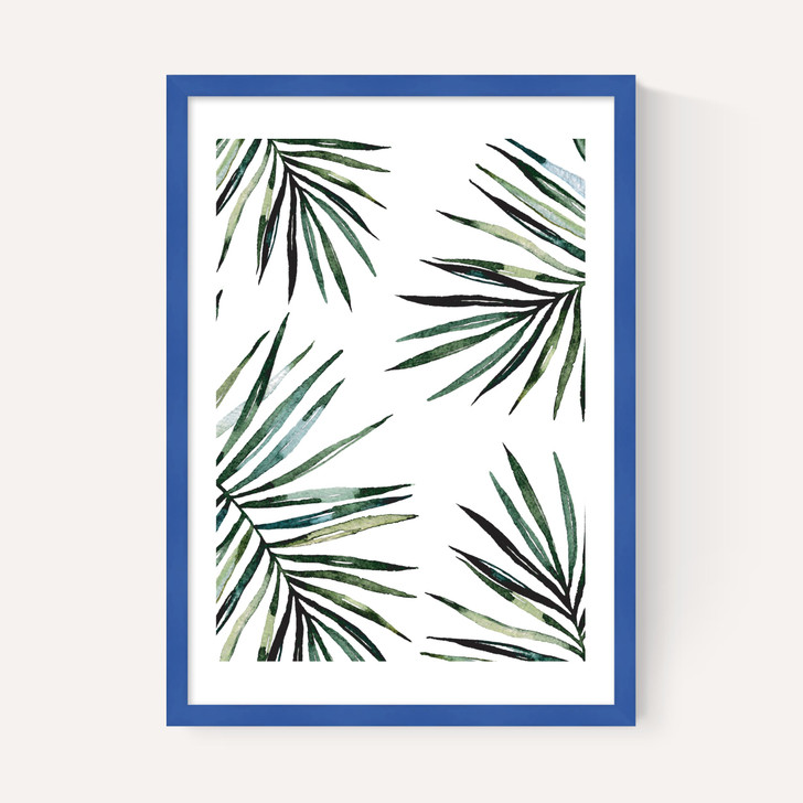 Ferns