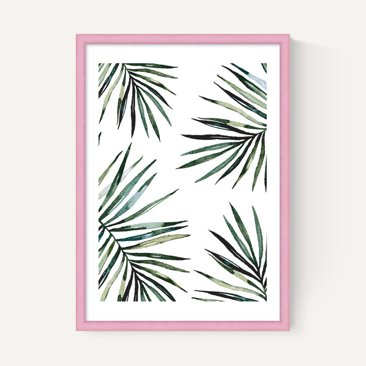 Ferns
