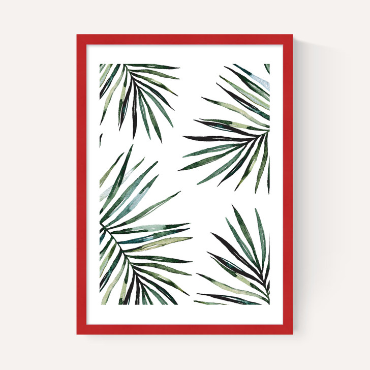 Ferns