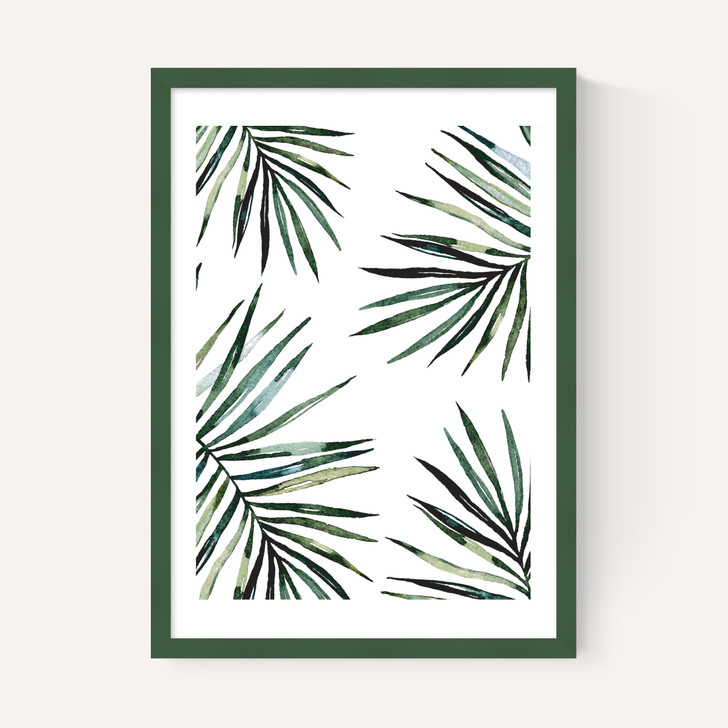 Ferns