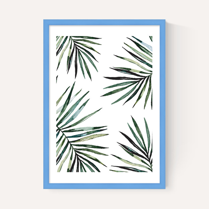 Ferns