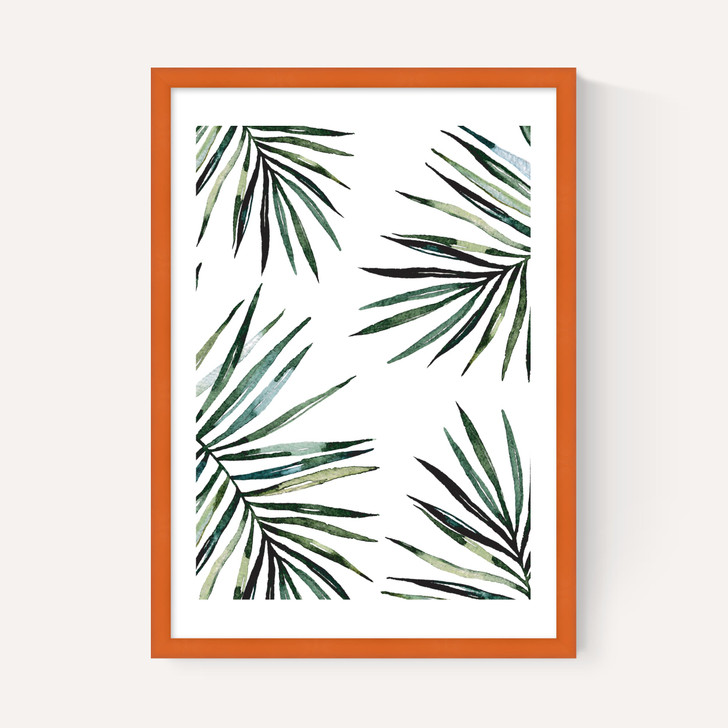 Ferns