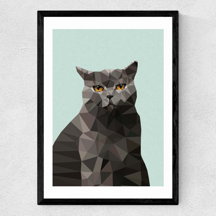 Cat British Blue Medium Black Frame Cat British Blue Medium Black Frame