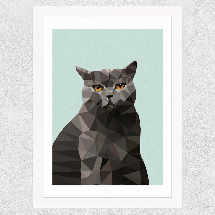 Cat British Blue Wide White Frame Cat British Blue Wide White Frame
