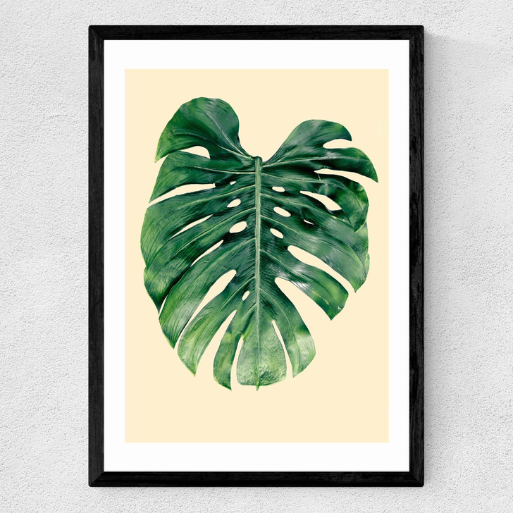 Monstera Leaf by Rafael Farias Medium Black Frame