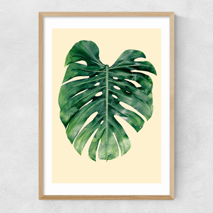 Monstera Leaf by Rafael Farias Narrow Oak Frame