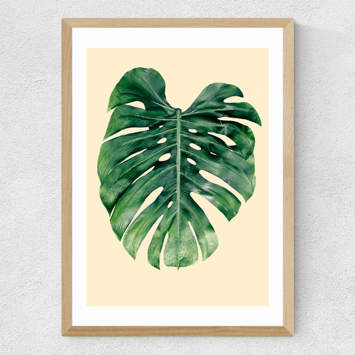 Monstera Leaf by Rafael Farias Medium Oak Frame