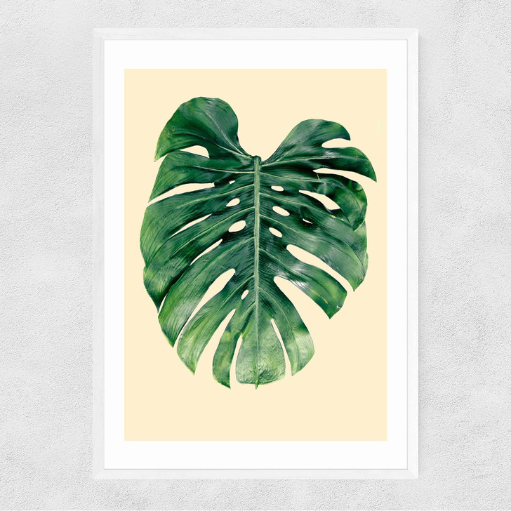 Monstera Leaf by Rafael Farias Narrow White Frame