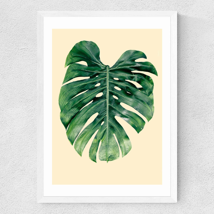 Monstera Leaf by Rafael Farias Medium White Frame