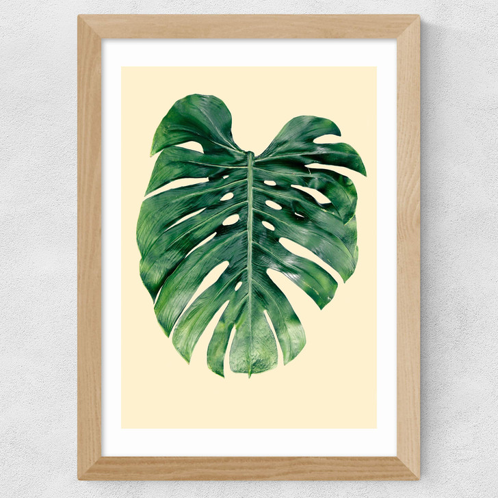 Monstera Leaf by Rafael Farias Wide Oak Frame