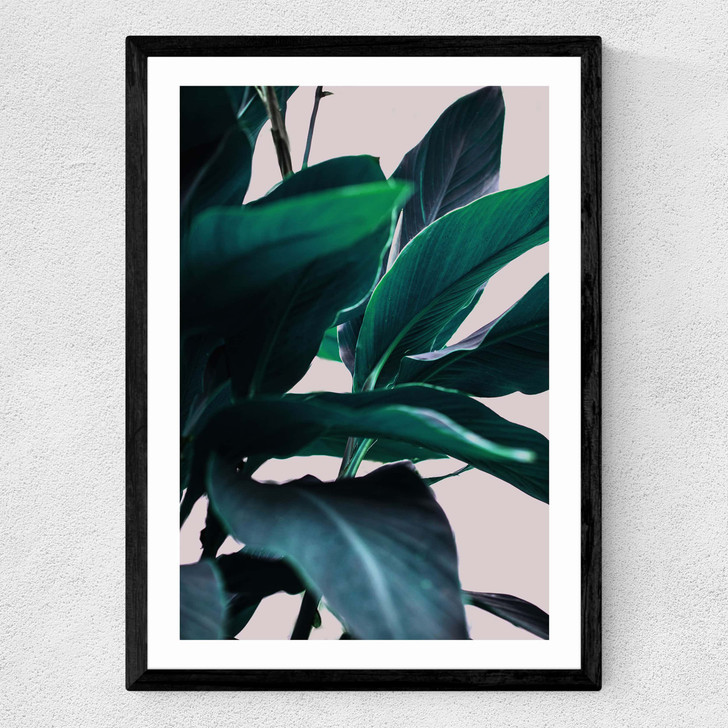 Leaves IV Medium Black Frame Leaves IV Medium Black Frame