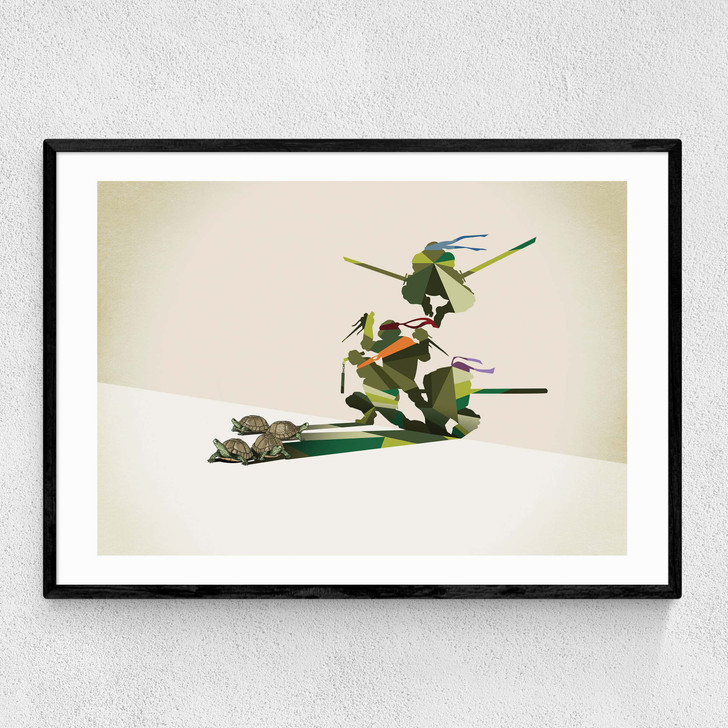 Walking Shadows: Turtles
